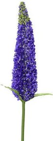 XXXLutz UMELÝ KVET 79 cm - Kvety & kvetináče - 0037540BQ801