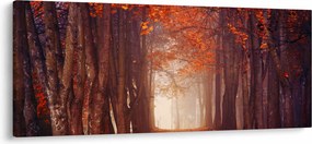 Obraz - Jesenné les (120x50 cm)