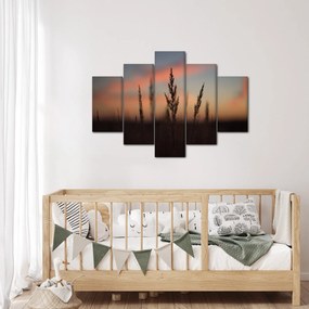 Obraz - Silueta rastliny (150x105 cm)