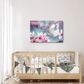 Obraz - Motýľ na čerešni (90x60 cm)