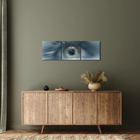Obraz - Pohľad oka (s hodinami) (90x30 cm)
