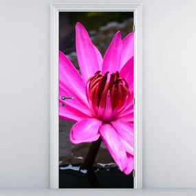 Fototapeta na dvere - Ružový kvet (95x205cm)