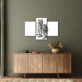 Obraz - Biely tiger (90x60 cm)