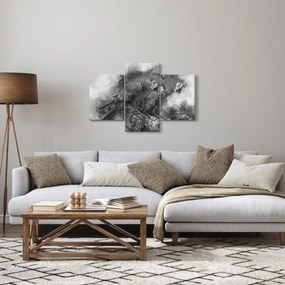 Obraz - Akvareloví papagáje (90x60 cm)