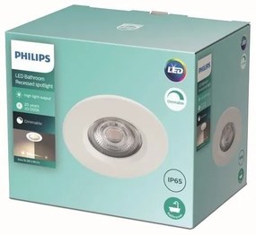 Philips - LED Stmievateľné kúpeľňové svietidlo DIVE LED/5W/230V 2700K IP65