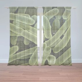 Sablio Záclony Baktérie: 2ks 150x250cm