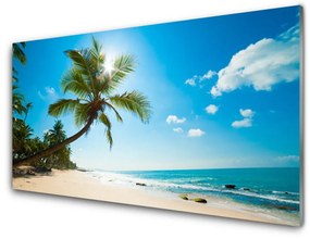 Skleneny obraz Palma strom pláž krajina 100x50 cm