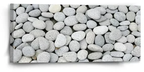 Sablio Obraz Okrúhliaky - 110x50 cm