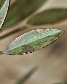 House Doctor Kovový svietnik Leaves Antique Green