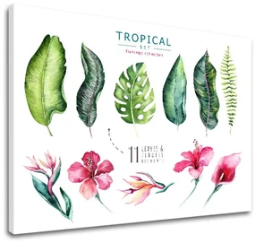 Obraz na stenu s textom Tropical set flamingo | rôzne rozmery