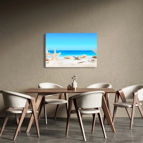 Obraz - Zátišie s mušľami (90x60 cm)