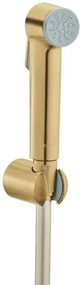 Bidetová spŕška GROHE Tempesta-F Trigger Spray Brushed Cool Sunrise 27513GN1