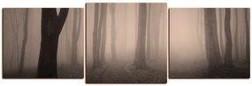 Obraz na plátne - Hmla v lese - panoráma 5182FD (90x30 cm)