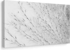 Obraz - Pampas grass N⁰2 (90x60 cm)