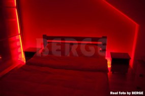 ECOLIGHT LED pásik - SMD 2835 - 5m - 60LED/m - 4,8 W/m - IP65 - červený