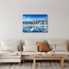 Sklenený obraz zamrznutého jazera a zasnežených stromov (70x50 cm)
