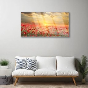 Skleneny obraz Slnko lúka mak kvety 100x50 cm