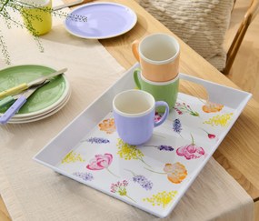 Podnos s rukoväťami