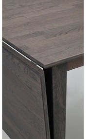 Rozkladací jedálenský stôl z dubového dreva 120x80 cm Filippa - Rowico