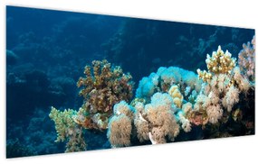 Obraz - V oceáne (120x50 cm)