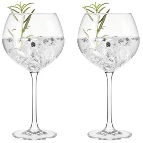 Leonardo Poháre GIN 630 ml, 2 ks