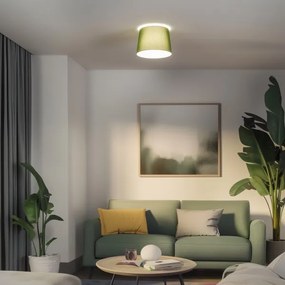 Brilagi - LED Prisadený luster CERIA 1xE27/40W/230V pr. 30 cm zelený