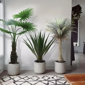 Artificial plant Washingtonia Robusta 140cm