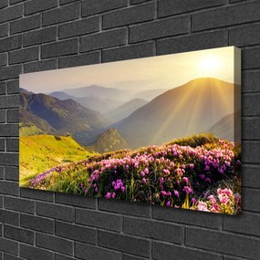 Obraz Canvas Hora lúka krajina 125x50 cm