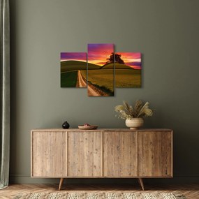Obraz poľa pri západe slnka (90x60 cm)