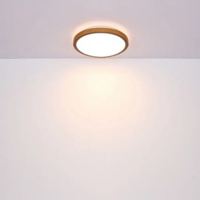 Globo 41764-12 - LED Stropné svietidlo BRUNO LED/12W/230V 307 mm 3000/4500/6000K