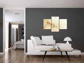 Obraz - Makro fotografie púpavy (90x60 cm)