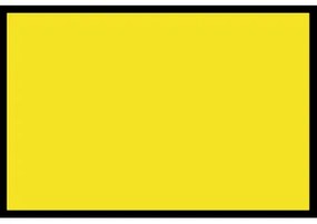 Navrhnuteľná rohožka Flat Prémium (Vyberte veľkosť: 75*50 cm, Vyberte farbu: 039 Žltá)