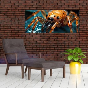 Obraz - Detail pavúka (120x50 cm)