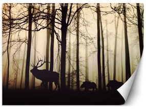 Fototapeta, Zvířata v pralese - 100x70 cm