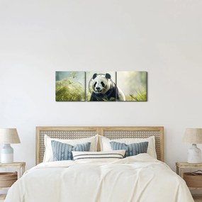 Obraz - Panda (s hodinami) (90x30 cm)