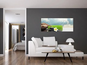 Obraz - Spa and relax (120x50 cm)