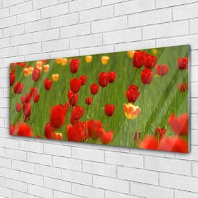 Obraz na akrylátovom skle Tulipány rastlina 125x50 cm