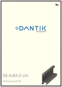 DANTIK rám na obraz 59,4x84 | ALU Dýha černá (Plexi Čiré)