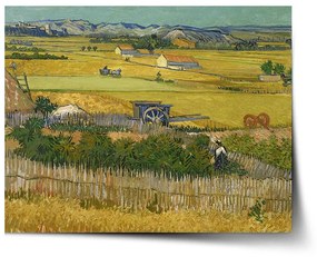 Sablio Plagát Úroda - Vincent van Gogh - 60x40 cm