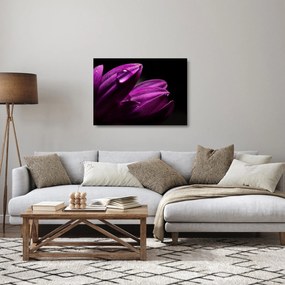 Sklenený obraz - Kvapka vody (70x50 cm)