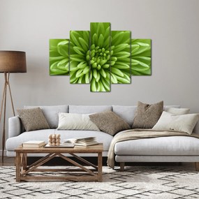 Obraz - Makro snímka rastliny (150x105 cm)