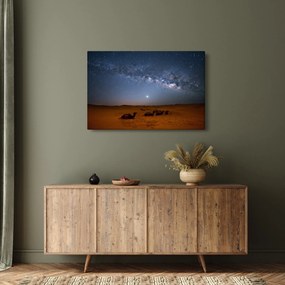 Obraz - Noc v púšti (90x60 cm)
