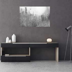 Obraz - Levanduľa (90x60 cm)