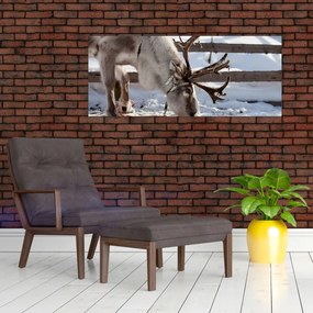 Obraz - Sob (120x50 cm)