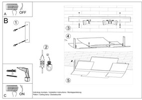 Stropné svietidlo Celia, 1x mliečne sklenené tienidlo, ch