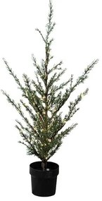 SIRIUS LED svetelný stromček v kvetináči Cedr, 130 cm