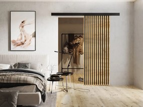Interiérové posuvné dvere Boxdis 70, Farba:: Grafit antracit/Čierna