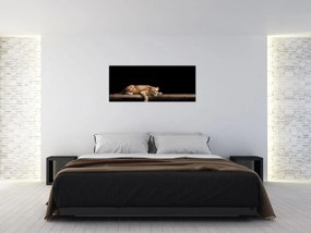Obraz - Levice (120x50 cm)