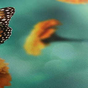 Obraz motýľa (90x60 cm)