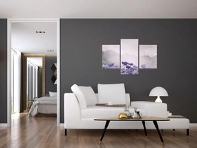 Obraz - Fialové kvety v horách (90x60 cm)